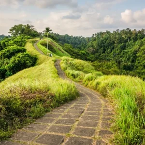One Day Tour – Ubud & Gianyar Bali (Nature Escape)