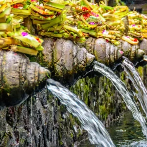 One Day Tour – Ubud & Gianyar Bali (Heritage & Temple)