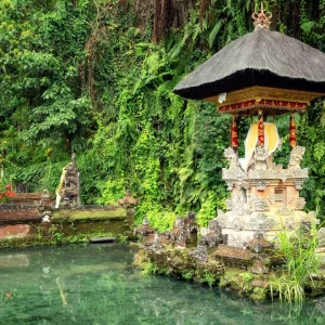 One Day Tour – Ubud & Gianyar Bali (Spiritual Journey)